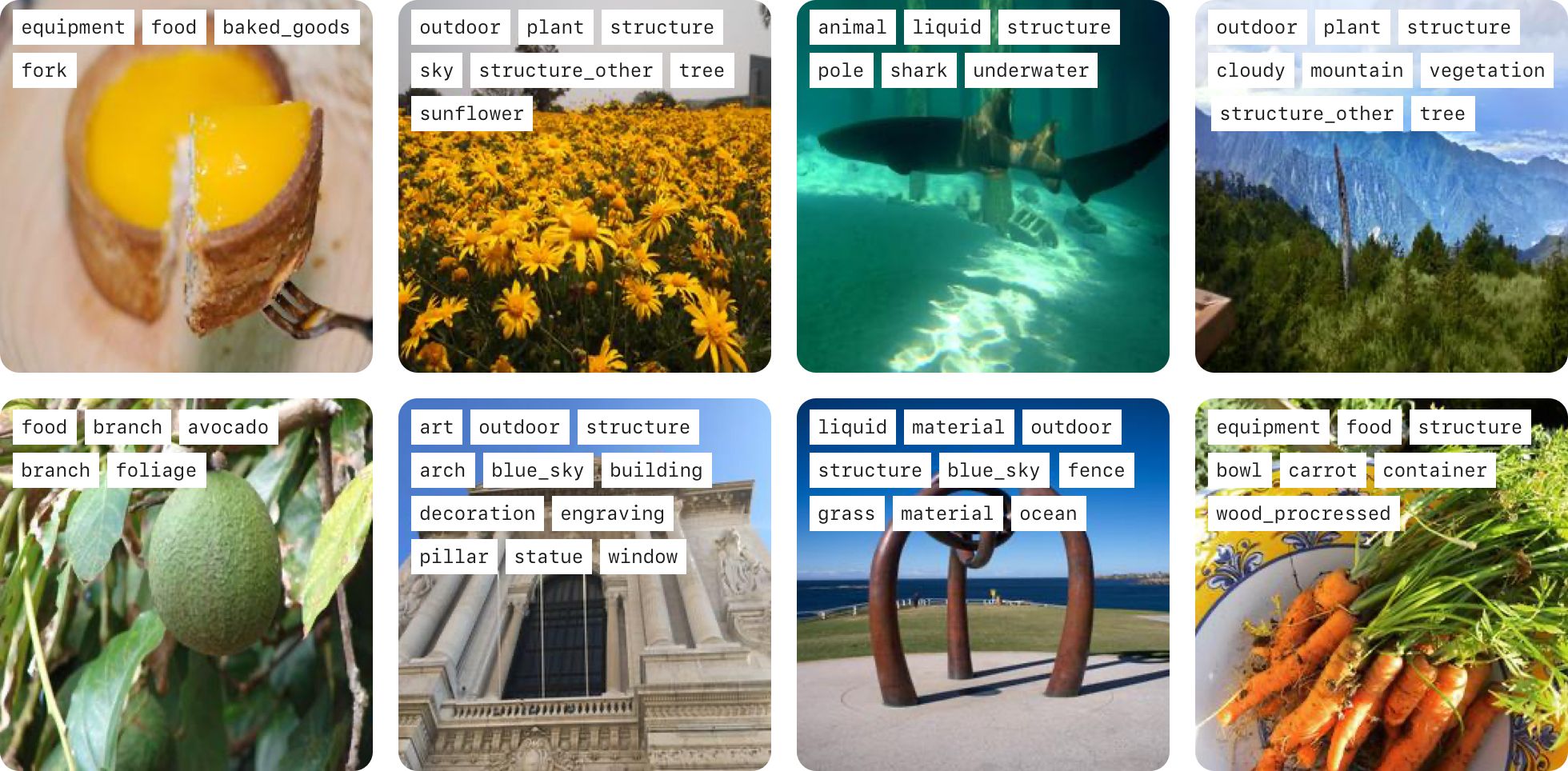 Sample images from the dataset with associated labels.