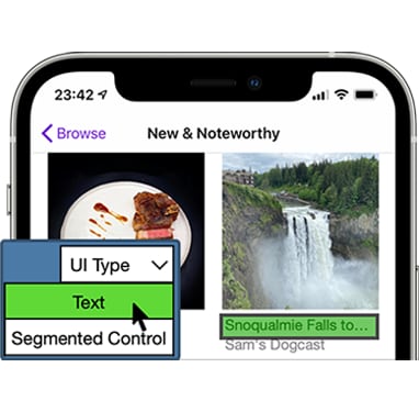 2. Data Annotation Phone screenshot with element selection and annotation shown