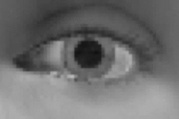 An animation that shows how an eye image changes as the refiner network learns to model the details found in real images of eyes.